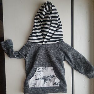 Dinosaur hoodie